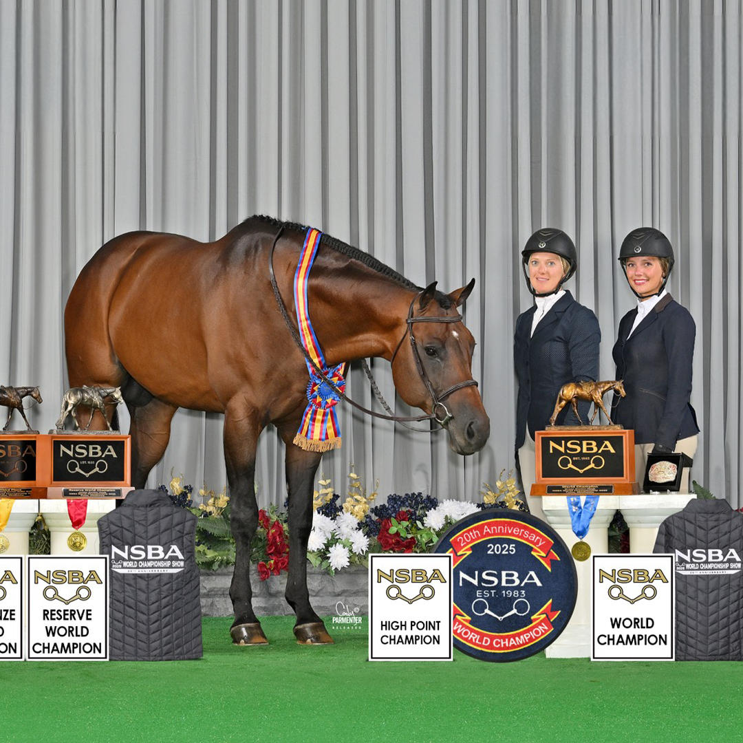 Hunter Jumper Horse Of The Year: DGS Legacy