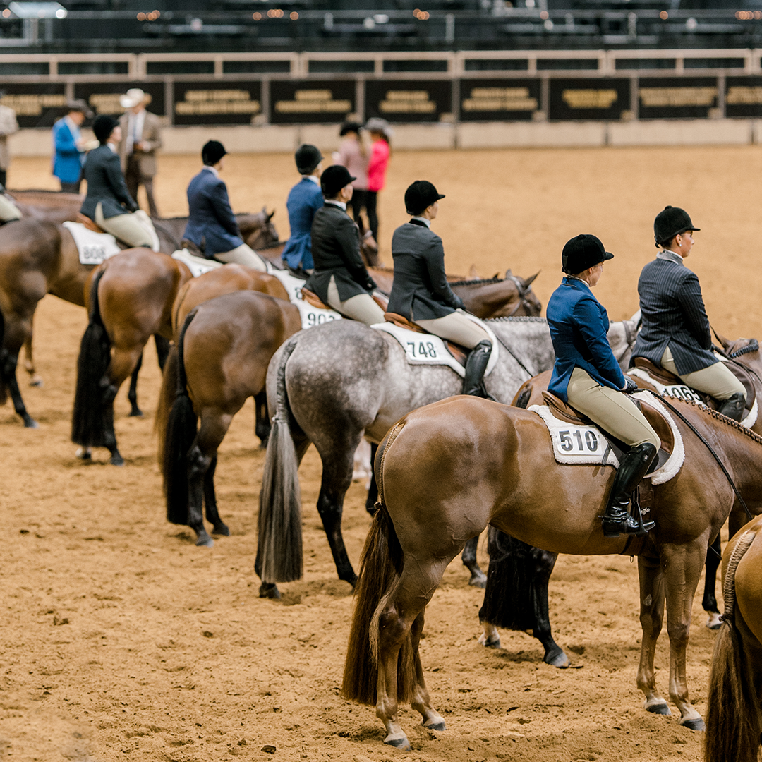NSBA Announces Qualifying Updates for the 2026 World Championship Show NSBA Announces Qualifying Updates for the 2026 World Championship Show