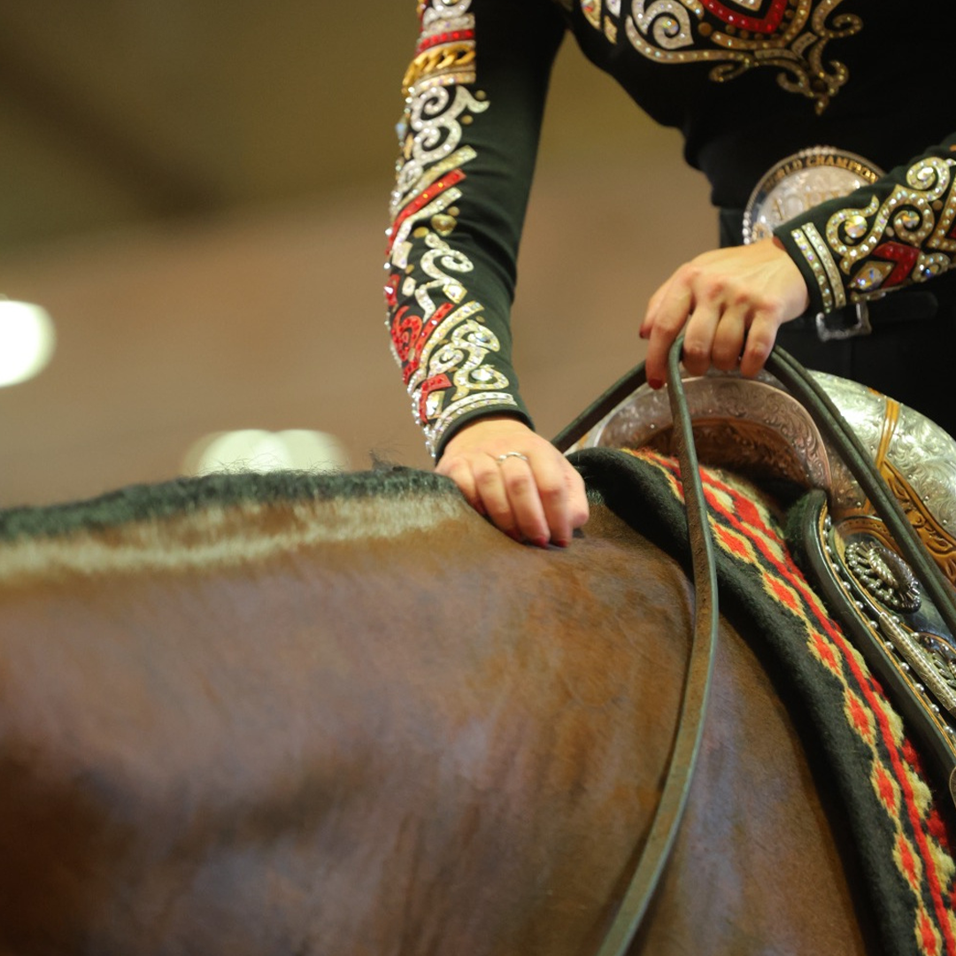 NSBA Transitions to Digital Membership Cards NSBA Transitions to Digital Membership Cards