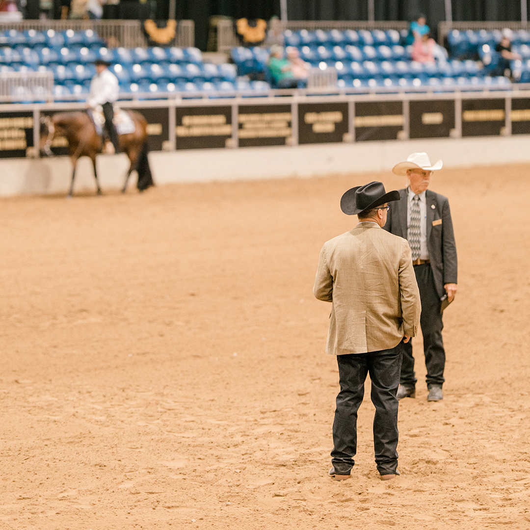 NSBA’s First Restricted Judges Named