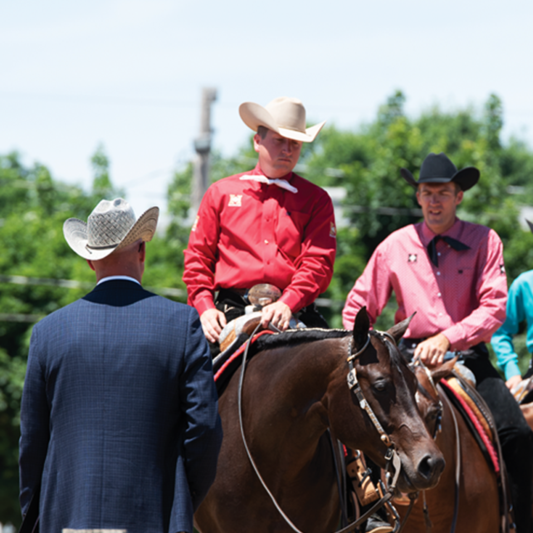 NSBA Works To Establish Specialty Judges Credentials NSBA Works To Establish Specialty Judges Credentials