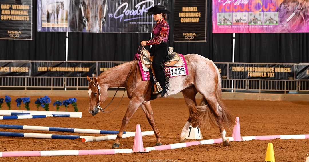 Jennifer Paul NSBA, NSBA World Championship Show, Jennifer Paul, NSBA Quarter Million Dollar Club