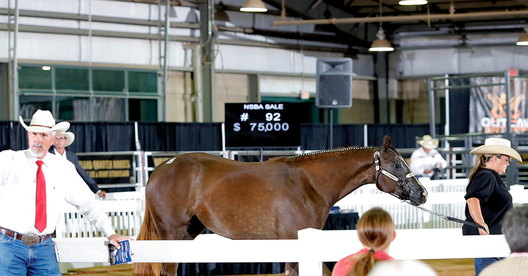 NSBA members honor veterans flags, Heroes On Horses, veterans, NSBA World Show